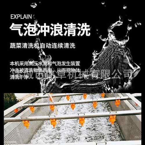 供应西蓝花生菜喷淋清洗机 小油菜净菜加工设备 蓝莓气泡清洗机