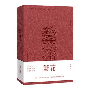当当网 繁花(批注本)第九届茅盾文学奖获奖作品 独特批注版本 胡歌主演同名剧集 王家卫导演同名剧集原著 沈宏非批注正版书籍