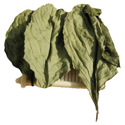 糯米香茶普洱茶配料满晒干原料