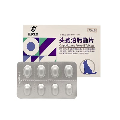 头孢泊肟酯片猫狗皮肤病真菌细菌脓皮症消炎感冒泌尿感染猫咪狗狗