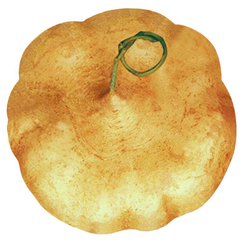 牧马山地瓜凉薯种籽甜脆水果凉瓜土瓜种早熟高产沙葛种子蔬菜种孑