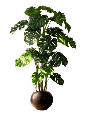 仿真绿植高级感逼真龟背竹室内轻奢盆栽摆件客厅落地仿生假树植物