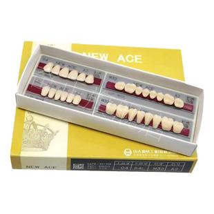 牙科山八合成牙 塑钢牙合成树脂牙 日本山八全口义齿塑钢树脂假牙