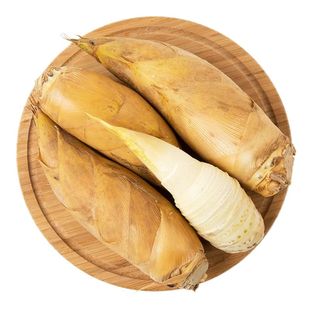 浙江台州野生冬笋新鲜现挖毛竹笋鲜笋10斤蔬菜2025高山黄泥大冬笋