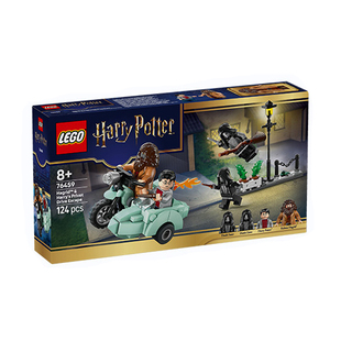 1月新品LEGO乐高76459海格与哈利的女贞路男孩女孩拼搭积木玩具
