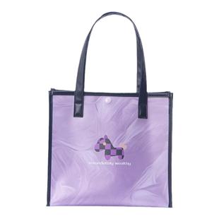 尚盈@方块小马磨砂pe手提果冻包卡通可爱风学生补习手拎包购物包