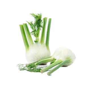 【槿馐】茴香头500g新鲜茴香根茴香球茎 西餐料理香料食材5件包邮