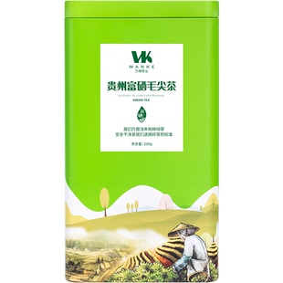 富含锌硒健康茶2025明前新茶贵州凤冈毛尖茶特级炒青绿茶250g罐装