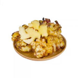 【每日白菜】每日更新一篇