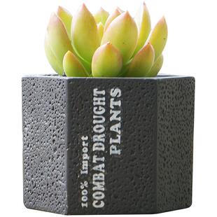 现代简约多肉植物盆栽长方水泥透气黑色可爱方口圆形花盆一个包邮