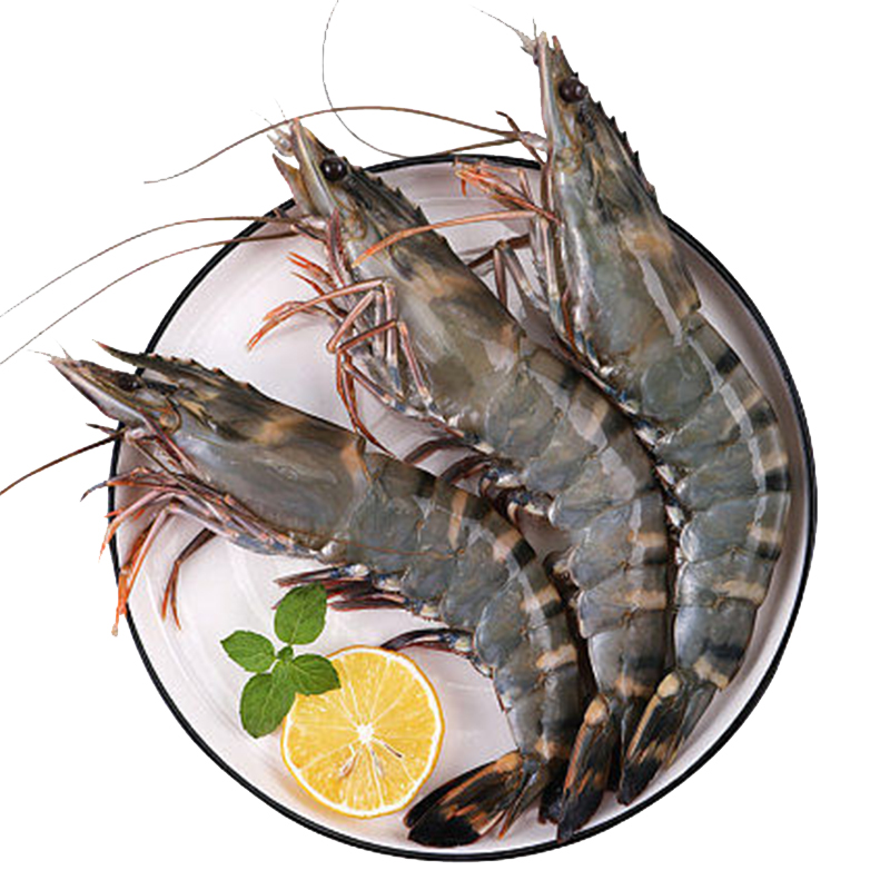野生特大黑虎虾船冻锁鲜过节送礼