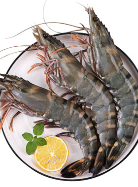 野生特大黑虎虾船冻锁鲜过节送礼