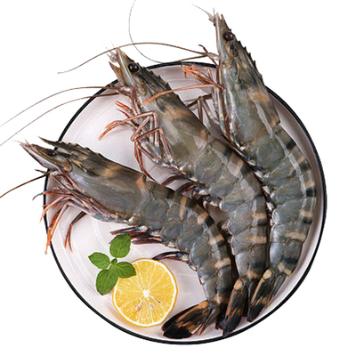 野生特大黑虎虾船冻锁鲜过节送礼