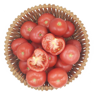 四川攀枝花西红柿新鲜水果农家自然熟新鲜普罗旺斯沙瓤大番茄