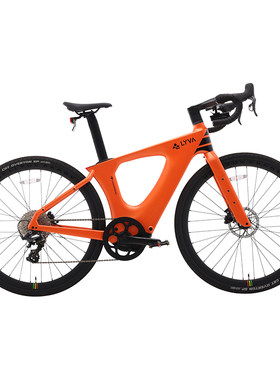绿源LYVA 电动助力自行车G01碳纤维100KM智能电助力自行车ebike