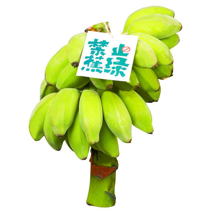赠卡片丨送花瓶丨整串丨禁止蕉绿