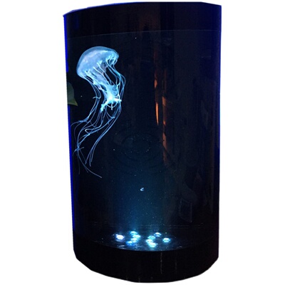 海月大西洋情人节生日礼物水母