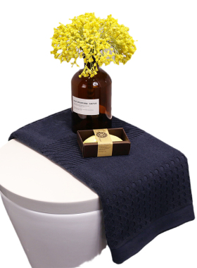 酒店会所马桶上软装摆饰品卫生间