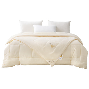 远梦大豆被A类双胎被二合一子母被加厚保暖被芯双人被子床品冬被