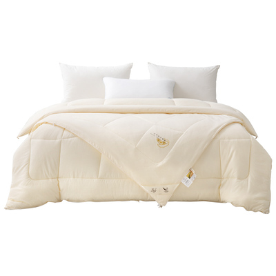 远梦大豆被A类双胎被二合一子母被加厚保暖被芯双人被子床品冬被