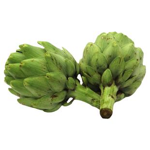 朝鲜蓟种子种籽绿色紫色法国洋百合秋季盆栽蓟菊四季特色蔬菜孑