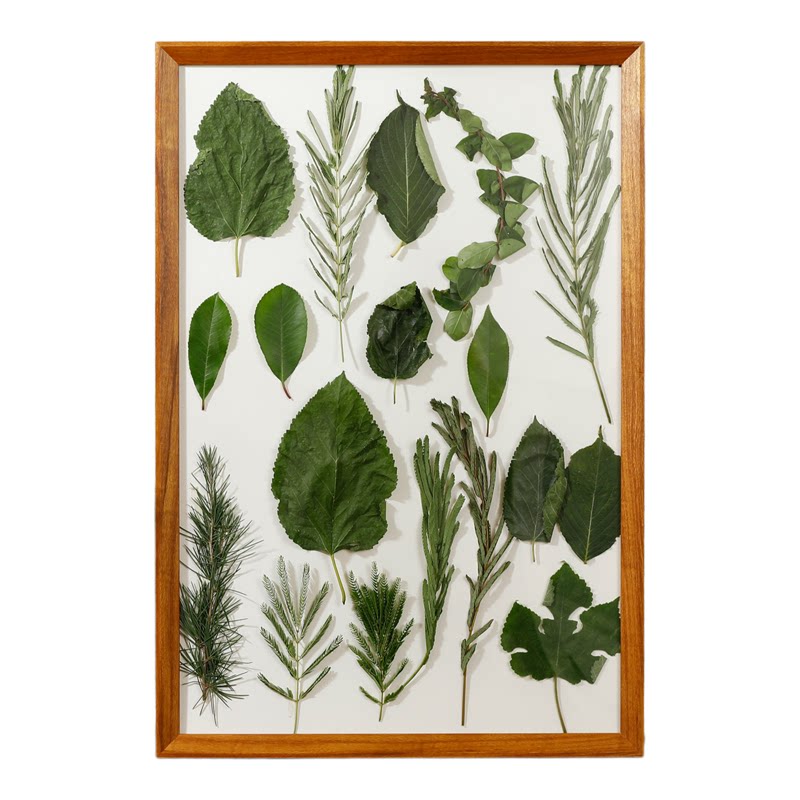 天然植物叶子DIY木质装饰画相框