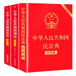 正版2025 中华人民共和国民法典 大字本 含典型案例 中国法制出版社 中国人民司法解释婚姻法律法规常用工具教材教程书