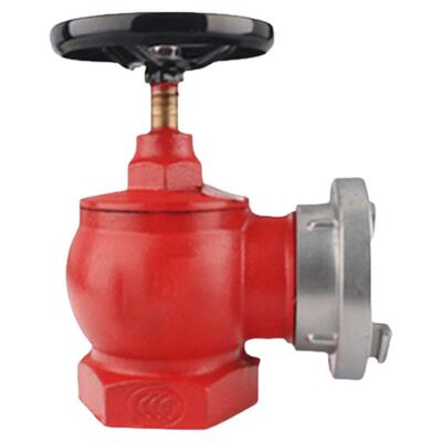 室内消火栓水龙头SN65/50