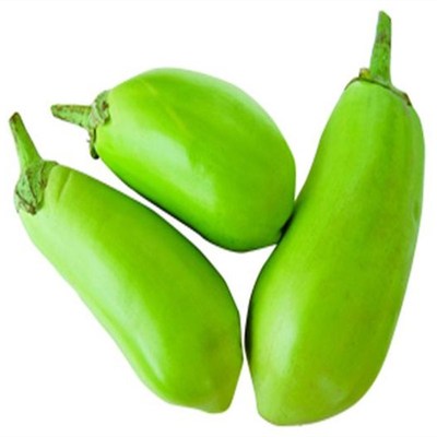 蔬菜长茄早熟高产四季春播种子