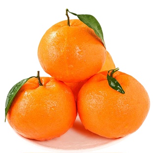 四川春见耙耙柑粑粑柑4.5/8.5斤新鲜水果当季整箱杷杷柑丑桔爆汁