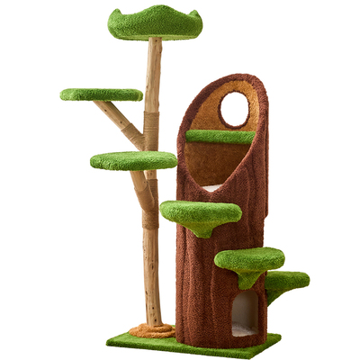 实木树洞不占地四季通用猫爬架