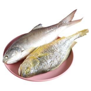 精致潮菜 潮州打冷熟鱼 比巴浪鱼饭更鲜嫩黄花鱼1条拼四包邮顺丰