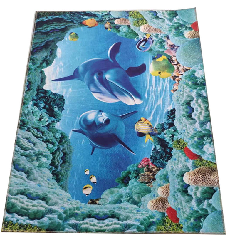 3d印花家用进门地垫玄关过道阳台