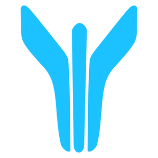 岚图梦想家车标贴车头标透光贴纸个性改装装饰用品小蓝灯个性改装