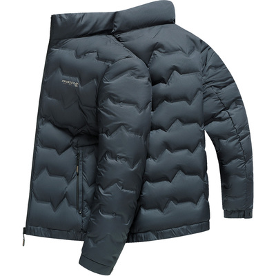 雪中飞短款立领轻便羽绒服男短款