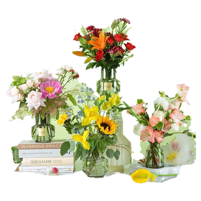 混合包月鲜花一周一花