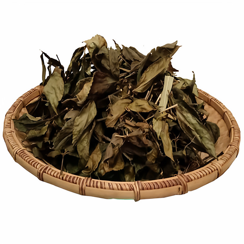 贵州特产节骨茶干货接骨茶肿节风