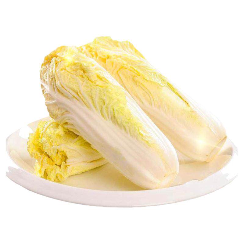 速生快菜种子20天可吃