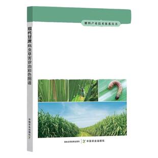 现代甘蔗病虫草害诊治彩色图谱 图解甘蔗生产中病虫害杂草症状识别防治措施甘蔗种植技术书籍水果树栽培书 糖料产业中国农业出版社