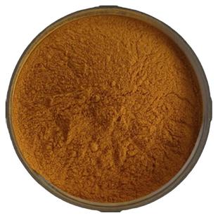 白桦茸提取物 桦树茸浓缩粉 另售桑黄白桦茸多糖30% 100g散装新货