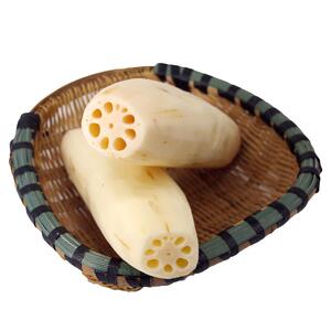 正宗洪湖莲藕新鲜现挖糯米藕煲汤粉糯炖汤湖北特产九孔粉藕红莲藕