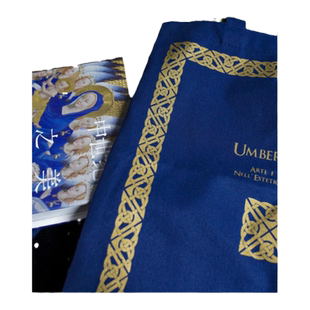 中世纪之美(书)+同款帆布袋 意大利翁贝托·艾柯经典作品 超大开本 高定印刷海量美图西方艺术文艺复兴前欧洲文化美术雕塑绘画图集