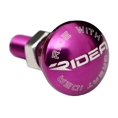 瑞宜达ridea鸟车前叉固定螺丝