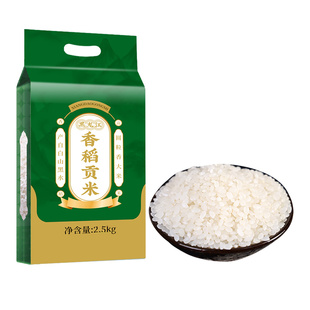 东北香稻大米当季新米珍珠贡米长粒香黑龙江真空试吃家用优质