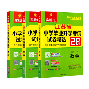 小升初备考2026江苏省小学毕业升初中考试卷精选28套卷语文数学英语春雨六年级下升学考试系统总复习资料辅导书苏教版真题卷必刷题