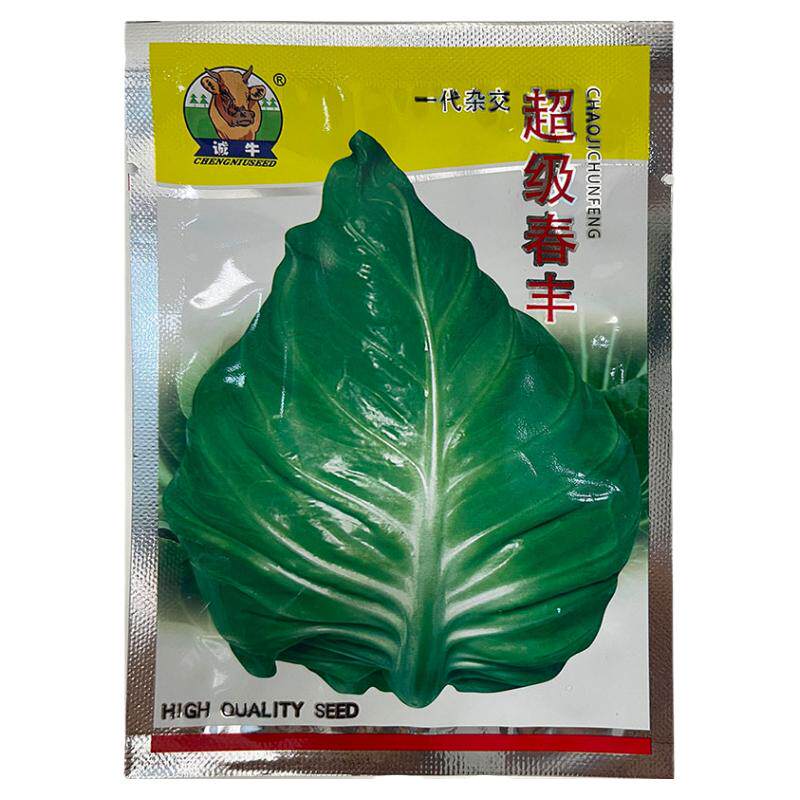 春锋甘蓝牛鸡心莲花白包菜种子