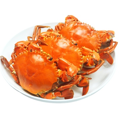 顶津南沙海鲜单价一斤软壳蟹