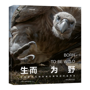 生而为野中国野生生物摄影年赛摄影作品精选 野生动物摄影集 中国国家地理图书