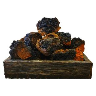 正品桦树茸长白山野生白桦茸黑金原皮切割桦褐孔菌泡水滋补养生