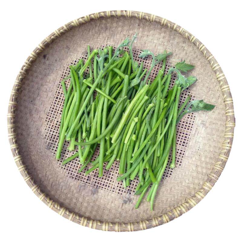 邵阳农产品食用南瓜藤精选中段